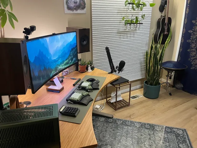 Desk setup with plants, guitar, and a split keyboard