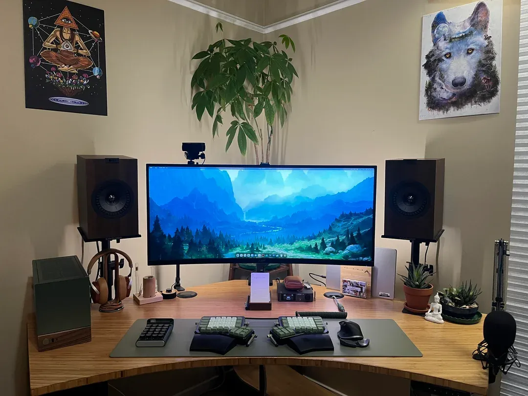 Desk setup with ultrawide monitor, plants, and warm wood